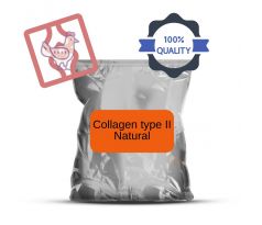 Collagen type II - NATURAL 50g